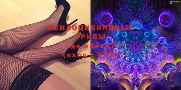 Альфа ПВП Ельня