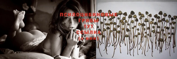 СК Елабуга