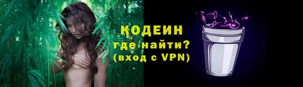 СК Елабуга