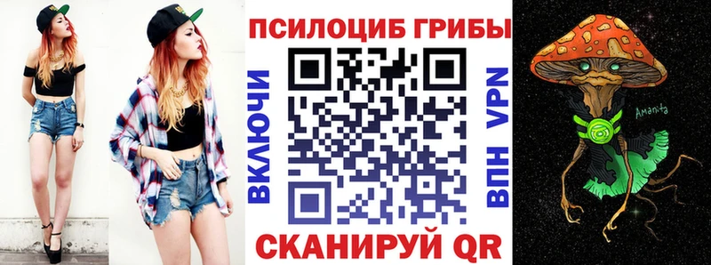 Галлюциногенные грибы Psilocybe  Купить где  Оха 